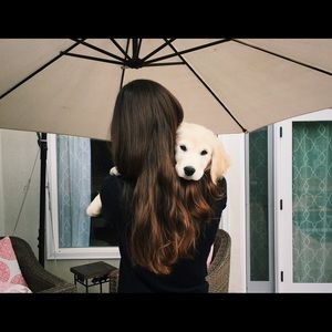 Meet your Posher, Alexa